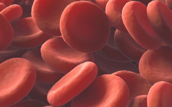 Hematological Disorders: Unlocking the Mysteries of Blood